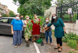 Tree plantation at Delhi-Image 1