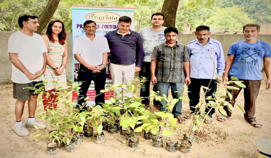  Ongoing annual tree plantation 